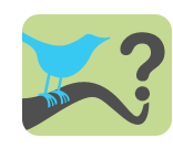 Is B2B Lead Generation Dead? Graphic showing Twitter bird on branch.