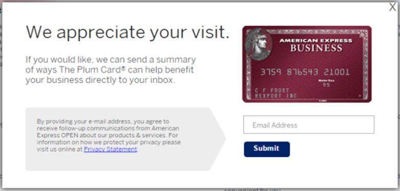 amex plum 04