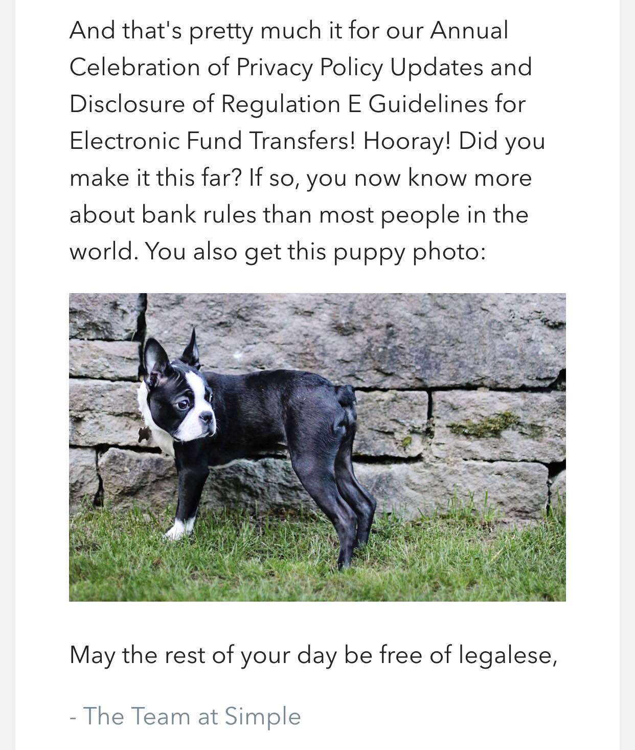 Puppy picture helps Simple Bank's customer communication on privacy policy to be educational and fun