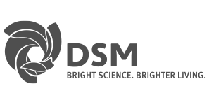 DSM